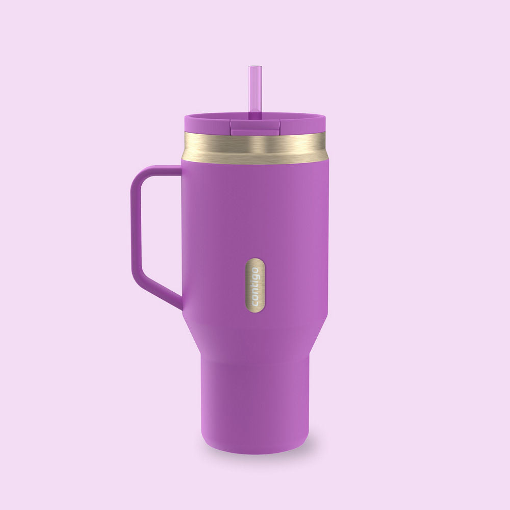 30 oz SnapSealT Tumbler (w/ Straw & Handle) - Galactic Champagne